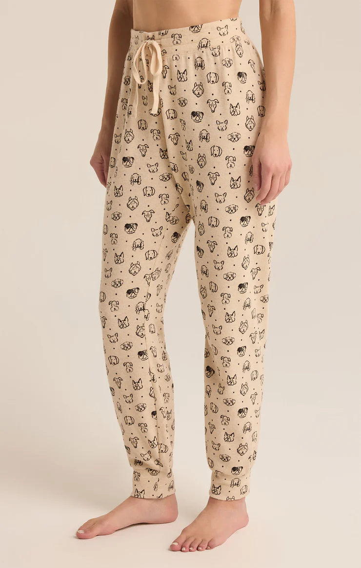 Fantastic Offers Z Supply Pup Jogger