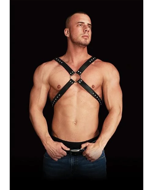Time-Limited Offer Adonis High Halter Chest Harness