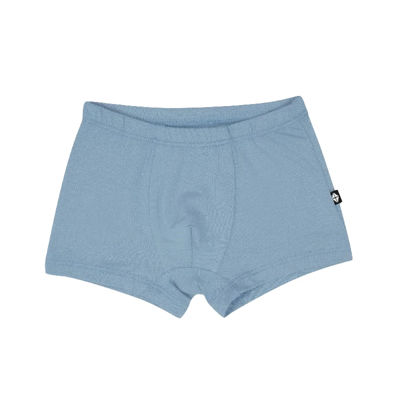 Discount Extravaganza Briefs in Slate