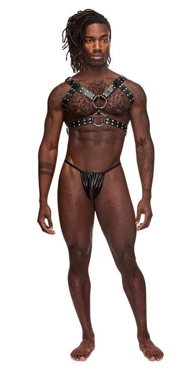 Limited Availability Gemini Leather Chest Harness
