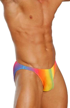 Weekend Offers That Shine Sheer Rainbow Bikini Underwear - BLOWOUT SALE!