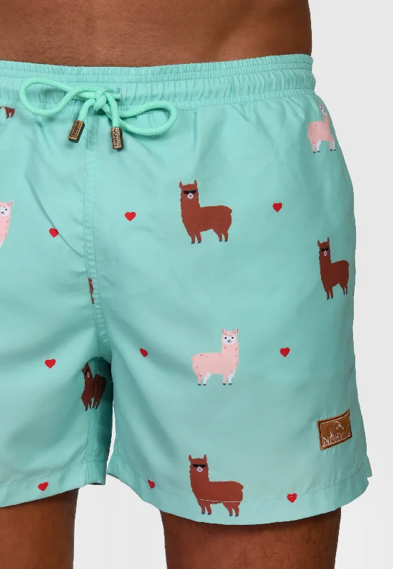 Best Deals Alpaca