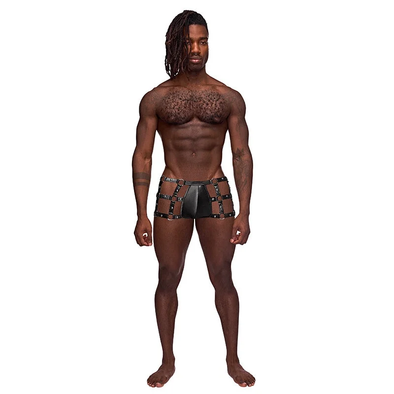 Weekend Savings Spectacular Vulcan Studded Harness